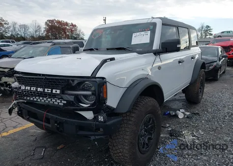 2024 Ford Bronco Wildtrak z USA, uszkodzony, nr VIN 1FMEE2BP0RLA67010